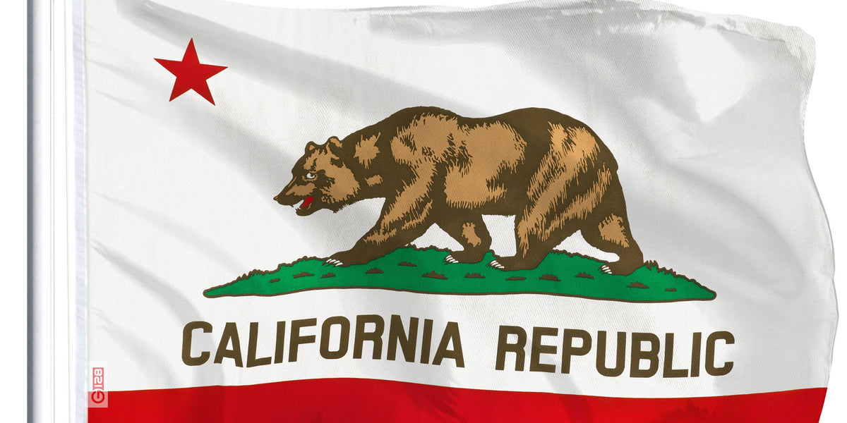 California State Flag 100D Printed Polyester 3x5 Ft — G128store.com