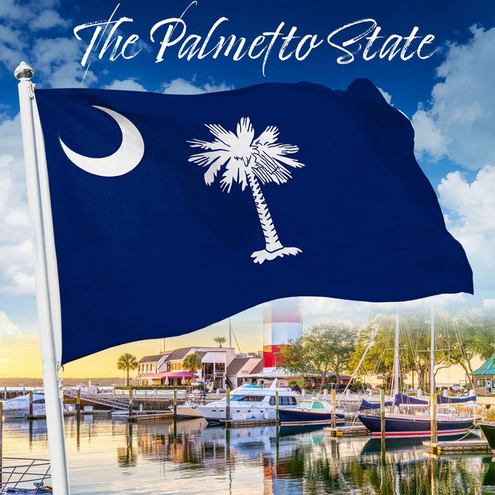 G128 South Carolina State Flag | 1x1.5 Ft | StormFlyer Series Embroidered 220GSM Spun Polyester | Embroidered Design, Indoor/Outdoor, Brass Grommets, Heavy Duty, All Weather