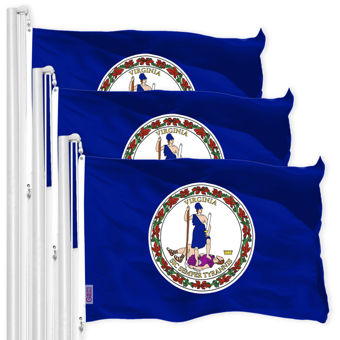 Virginia VA  3x5 Ft 3-Pack 150D Printed Polyester By G128