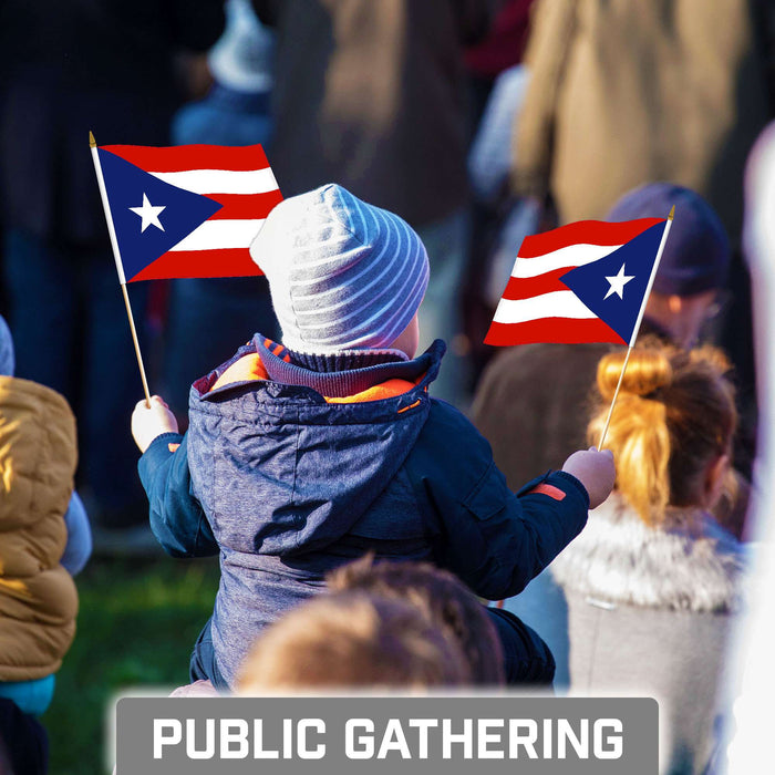 G128 24 Pack Handheld Puerto Rico Puerto Rican Stick Flags | 8x12 In | Printed 150D Polyester, Country Flag, Solid Wooden Stick, Spear Gold Tip