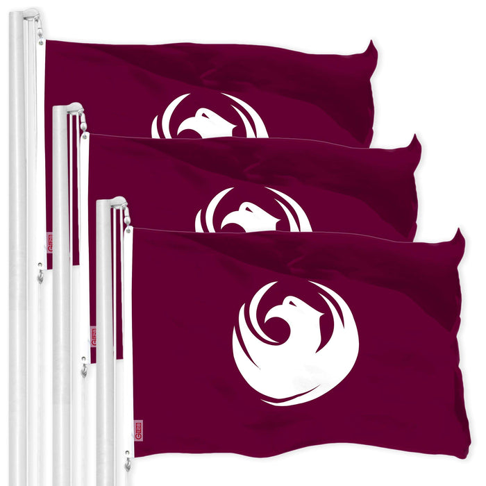 G128 3 Pack: Phoenix Flag | 3x5 Ft | LiteWeave Pro Series Printed 150D Polyester | City Flag, Indoor/Outdoor, Vibrant Colors, Brass Grommets