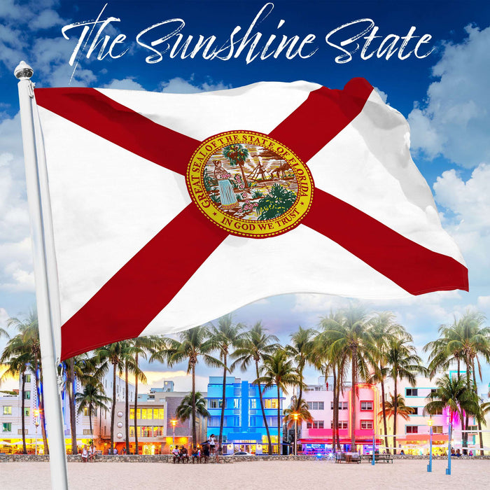 G128 Florida FL State Flag | 4x6 Ft | StormFlyer Series Embroidered 220GSM Spun Polyester | Embroidered Design, Indoor/Outdoor, Brass Grommets, Heavy Duty, All Weather
