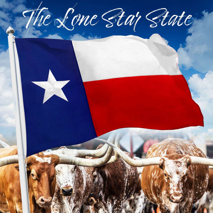 G128 - Texas State Flag 2.5x4ft Embroidered Stars Sewn Stripes Heavy Duty 220GSM Tough Spun Polyester Quality with Brass Grommets