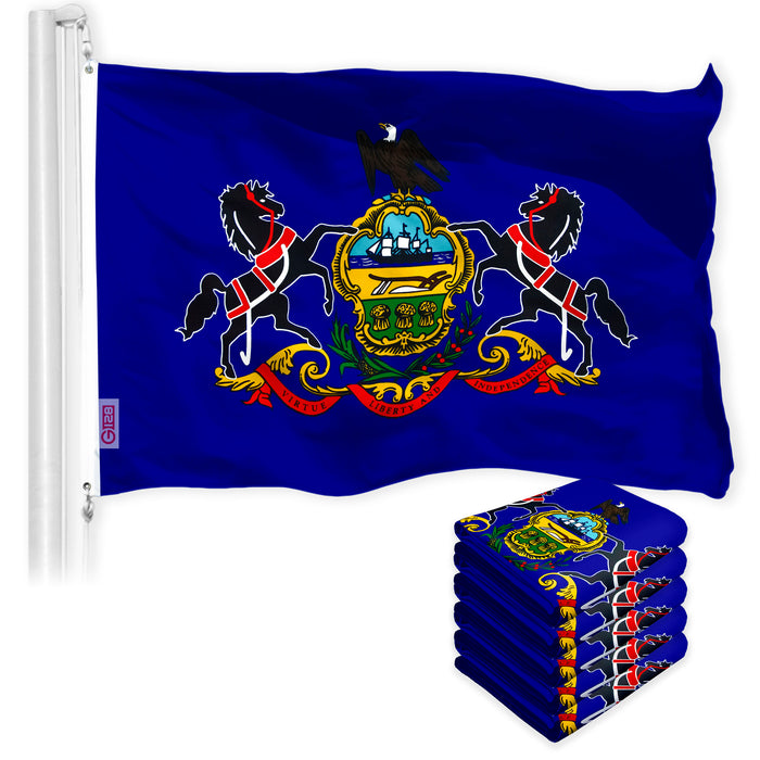 Pennsylvania PA State Flag 3x5 Ft 5-Pack 150D Printed Polyester By G128