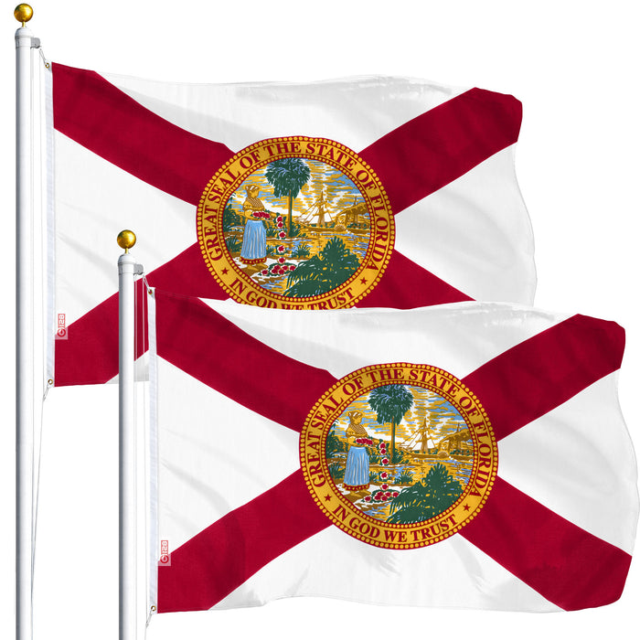 Florida FL State Flag 3x5 Ft 2-Pack Printed Polyester By G128