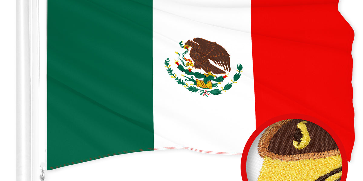 52620326191_48b66ca68b_o_5ce19