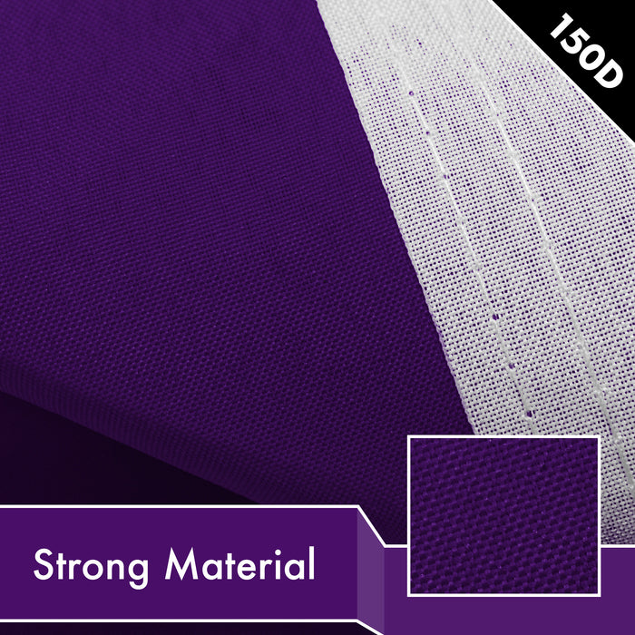 G128 10 Pack: Solid Purple Color Flag | 2x3 Ft | LiteWeave Pro Series Printed 150D Polyester | Indoor/Outdoor, Vibrant Colors, Brass Grommets, Thicker and More Durable Than 100D 75D Polyester