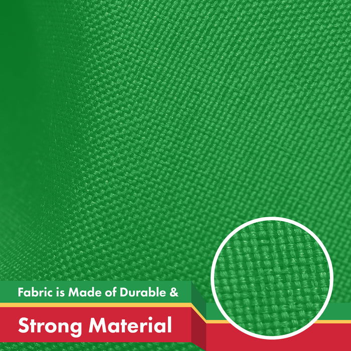 G128 Iran Lion Iranian Lion Flag | 3x5 Ft | LiteWeave Pro Series Printed 150D Polyester | Country Flag, Indoor/Outdoor, Vibrant Colors, Brass Grommets, Thicker and More Durable Than 100D 75D Polyester