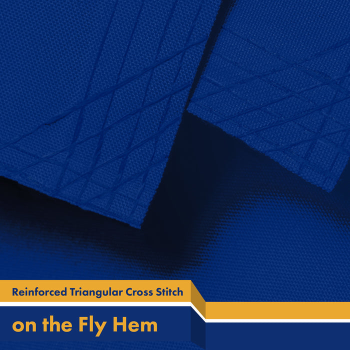 G128 New York NY State Flag | 3x5 Ft | LiteWeave Pro Series Printed 300D Polyester | Indoor/Outdoor, Vibrant Colors, Brass Grommets, Thicker and More Durable Than 100D 75D Polyester