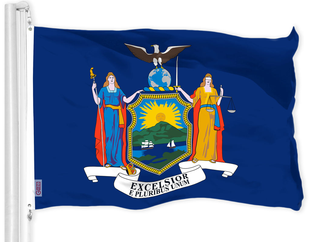 G128 New York NY State Flag | 3x5 Ft | LiteWeave Pro Series Printed 300D  Polyester | Indoor/Outdoor, Vibrant Colors, Brass Grommets, Thicker and  More