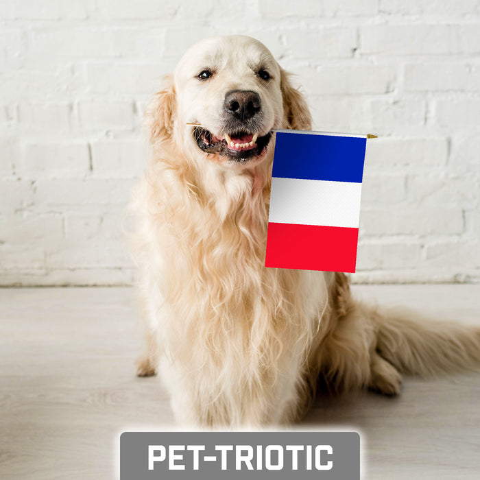 G128 50 Pack Handheld France French Stick Flags | 8x12 In | Printed 150D Polyester, Country Flag, Solid Wooden Stick, Spear Gold Tip