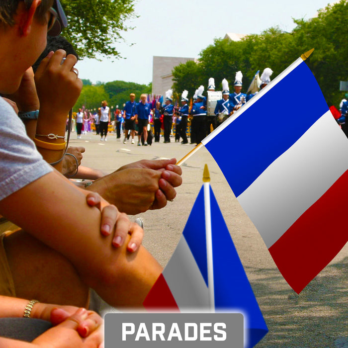 G128 30 Pack Handheld France French Stick Flags | 8x12 In | Printed 150D Polyester, Country Flag, Solid Wooden Stick, Spear Gold Tip