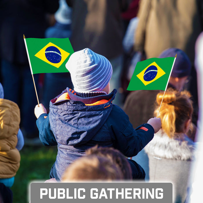 G128 30 Pack Handheld Brazil Brazilian Stick Flags | 8x12 In | Printed 150D Polyester, Country Flag, Solid Wooden Stick, Spear Gold Tip