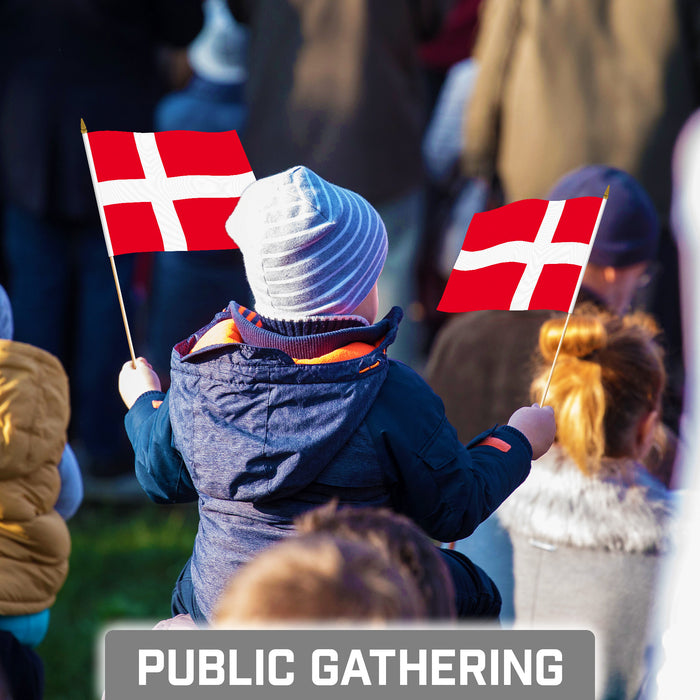 G128 10 Pack Handheld Denmark Stick Flags | 8x12 In | Printed 150D Polyester, Country Flag, Solid Plastic Stick, Spear White Tip