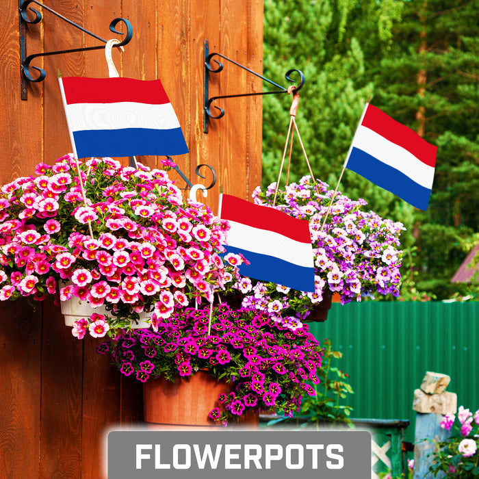 G128 50 Pack Handheld Netherlands Dutch Stick Flags | 8x12 In | Printed 150D Polyester, Country Flag, Solid Wooden Stick, Spear Gold Tip