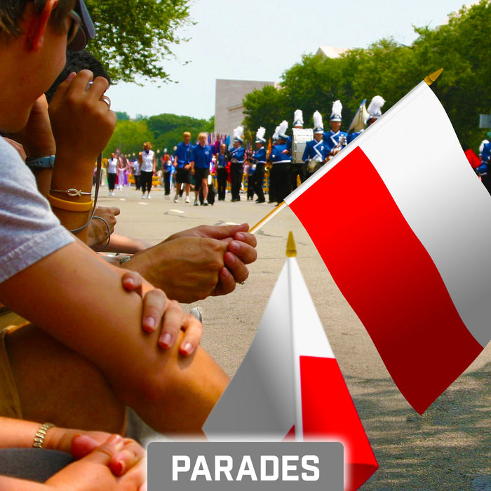 G128 10 Pack Handheld Poland Polish Stick Flags | 8x12 In | Printed 150D Polyester, Country Flag, Solid Plastic Stick, Spear White Tip