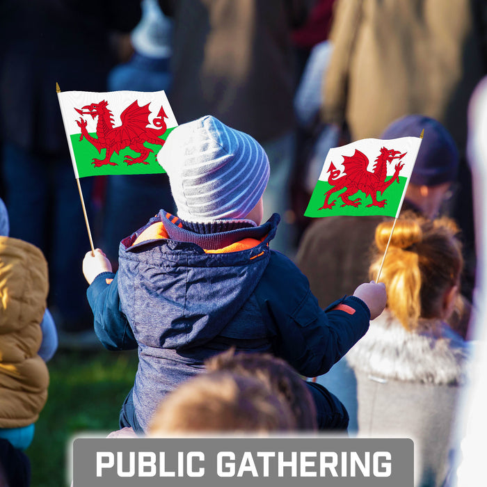 G128 10 Pack Handheld Wales Welsh Stick Flags | 8x12 In | Printed 150D Polyester, Country Flag, Solid Plastic Stick, Spear White Tip