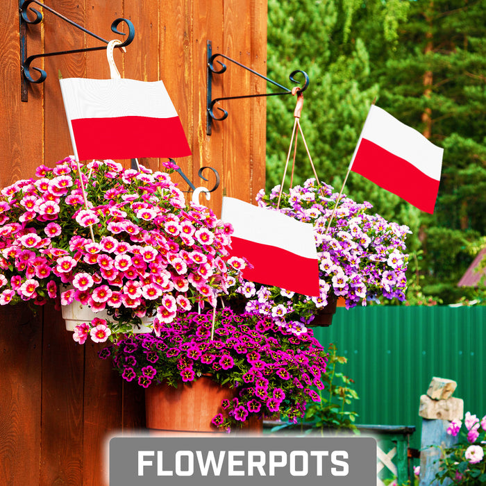 G128 30 Pack Handheld Poland Polish Stick Flags | 8x12 In | Printed 150D Polyester, Country Flag, Solid Wooden Stick, Spear Gold Tip
