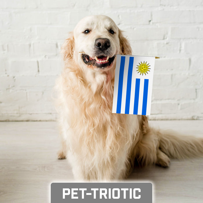 G128 50 Pack Handheld Uruguay Uruguayan Stick Flags | 8x12 In | Printed 150D Polyester, Country Flag, Solid Wooden Stick, Spear Gold Tip