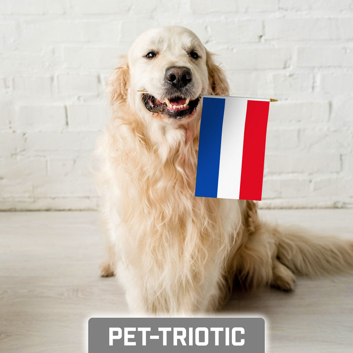 G128 10 Pack Handheld Netherlands Dutch Stick Flags | 8x12 In | Printed 150D Polyester, Country Flag, Solid Plastic Stick, Spear White Tip