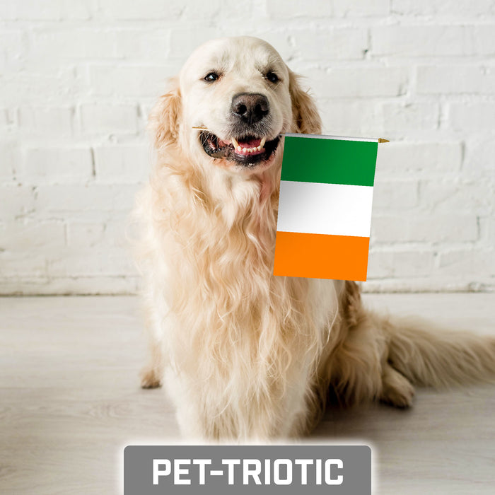 G128 50 Pack Handheld Ireland Irish Stick Flags | 8x12 In | Printed 150D Polyester, Country Flag, Solid Wooden Stick, Spear Gold Tip