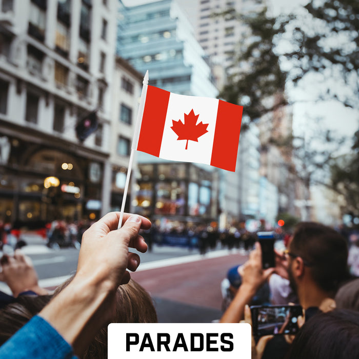 G128 10 Pack Handheld Canada Canadian Stick Flags | 4x6 In | Printed 150D Polyester, Country Flag, Solid Plastic Stick, Spear White Tip