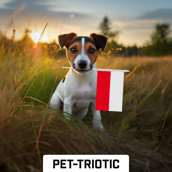 G128 10 Pack Handheld Poland Polish Stick Flags | 4x6 In | Printed 150D Polyester, Country Flag, Solid Plastic Stick, Spear White Tip