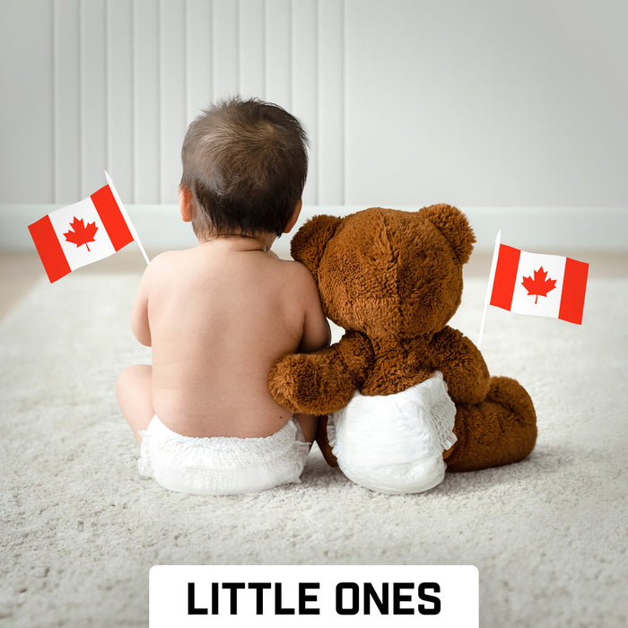 G128 10 Pack Handheld Canada Canadian Stick Flags | 4x6 In | Printed 150D Polyester, Country Flag, Solid Plastic Stick, Spear White Tip