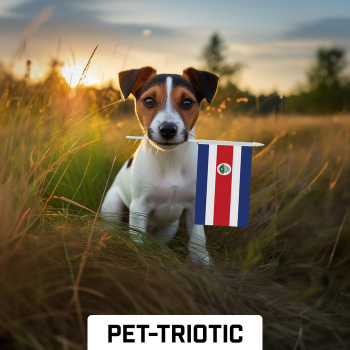 G128 10 Pack Handheld Costa Rica Costa Rican Stick Flags | 4x6 In | Printed 150D Polyester, Country Flag, Solid Plastic Stick, Spear White Tip