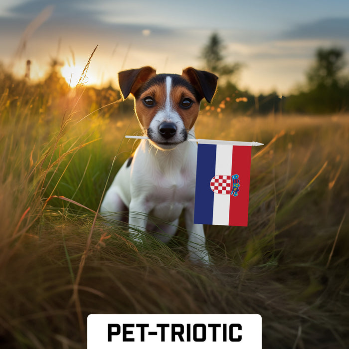 G128 10 Pack Handheld Croatia Croatian Stick Flags | 4x6 In | Printed 150D Polyester, Country Flag, Solid Plastic Stick, Spear White Tip