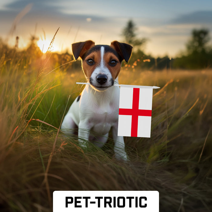 G128 10 Pack Handheld England Stick Flags | 4x6 In | Printed 150D Polyester, Country Flag, Solid Plastic Stick, Spear White Tip