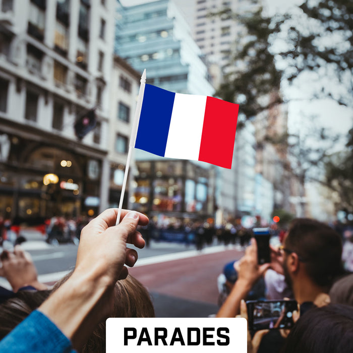 G128 24 Pack Handheld France French Stick Flags | 4x6 In | Printed 150D Polyester, Country Flag, Solid Plastic Stick, Spear White Tip