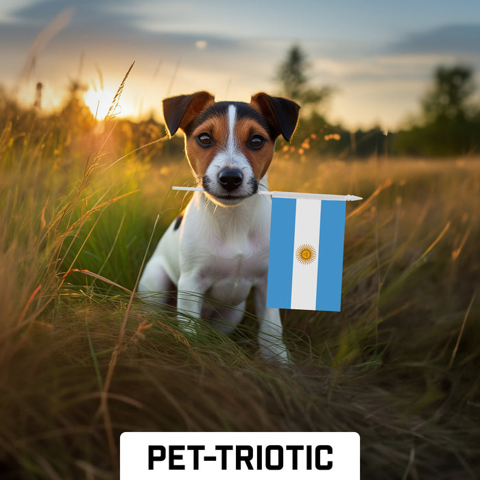 G128 30 Pack Handheld Argentina Argentinian Stick Flags | 4x6 In | Printed 150D Polyester, Country Flag, Solid Plastic Stick, Spear White Tip