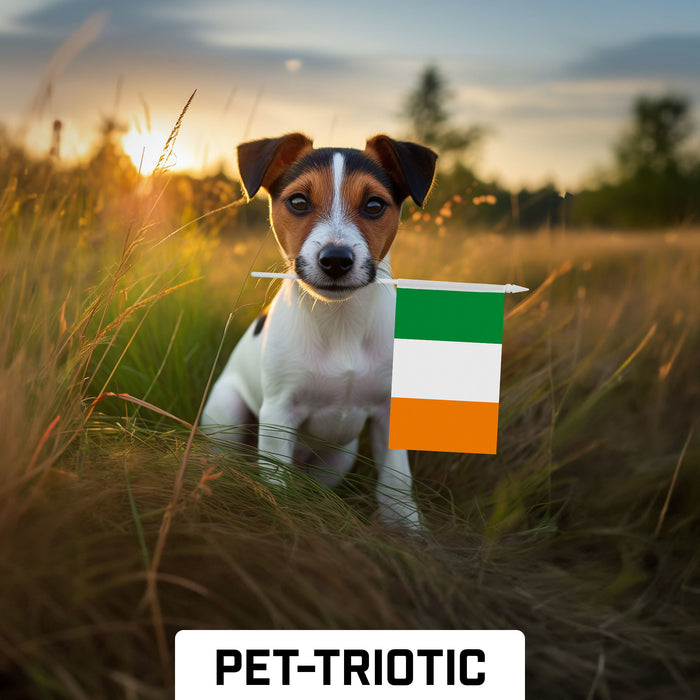 G128 10 Pack Handheld Ireland Irish Stick Flags | 4x6 In | Printed 150D Polyester, Country Flag, Solid Plastic Stick, Spear White Tip