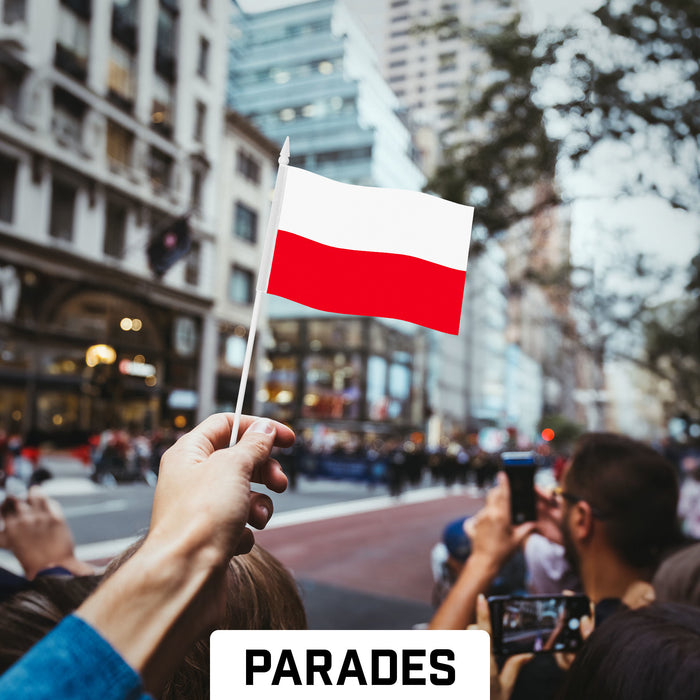 G128 12 Pack Handheld Poland Polish Stick Flags | 4x6 In | Printed 150D Polyester, Country Flag, Solid Plastic Stick, Spear White Tip