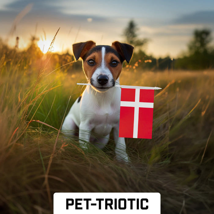 G128 10 Pack Handheld Denmark Stick Flags | 4x6 In | Printed 150D Polyester, Country Flag, Solid Plastic Stick, Spear White Tip