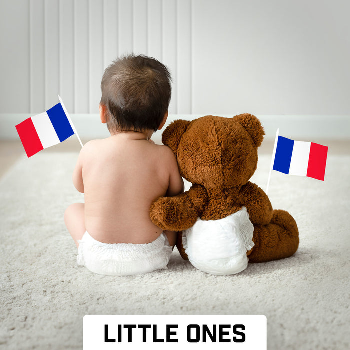 G128 24 Pack Handheld France French Stick Flags | 4x6 In | Printed 150D Polyester, Country Flag, Solid Plastic Stick, Spear White Tip