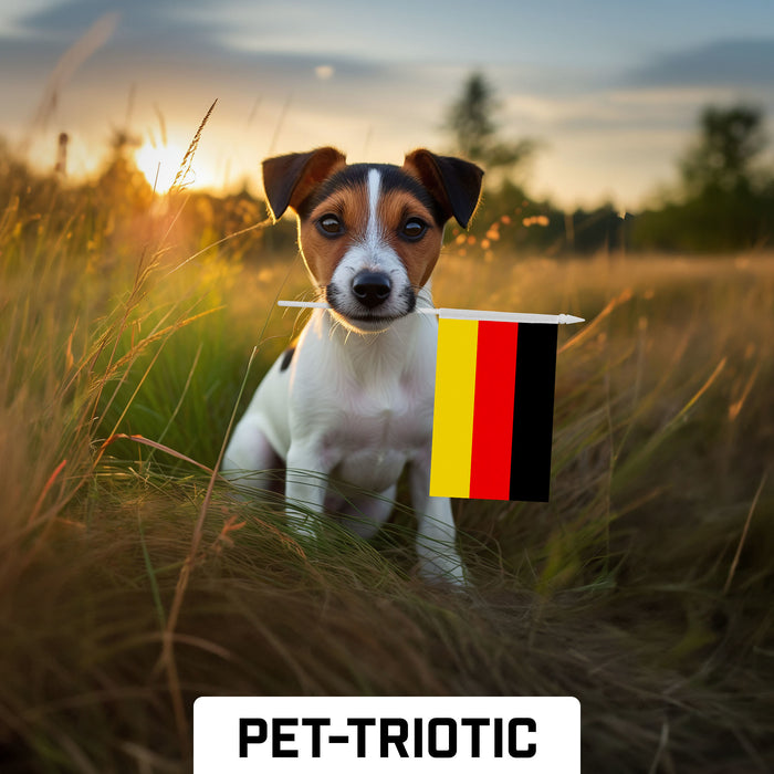 G128 10 Pack Handheld Germany German Stick Flags | 4x6 In | Printed 150D Polyester, Country Flag, Solid Plastic Stick, Spear White Tip