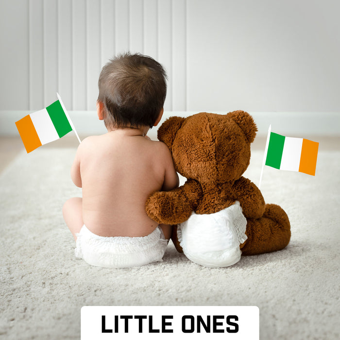 G128 30 Pack Handheld Ireland Irish Stick Flags | 4x6 In | Printed 150D Polyester, Country Flag, Solid Plastic Stick, Spear White Tip