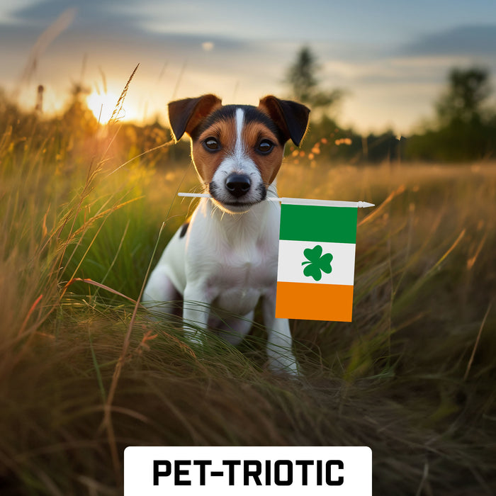 G128 10 Pack Handheld Ireland Shamrock Irish Stick Flags | 4x6 In | Printed 150D Polyester, Country Flag, Solid Plastic Stick, Spear White Tip