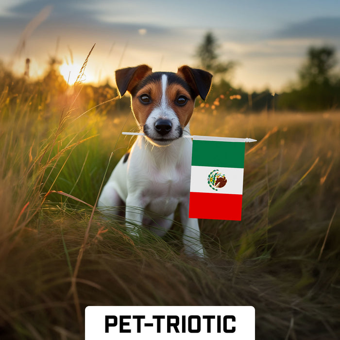 G128 30 Pack Handheld Mexico Mexican Stick Flags | 4x6 In | Printed 150D Polyester, Country Flag, Solid Plastic Stick, Spear White Tip