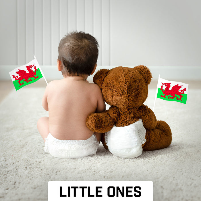 G128 24 Pack Handheld Wales Welsh Stick Flags | 4x6 In | Printed 150D Polyester, Country Flag, Solid Plastic Stick, Spear White Tip