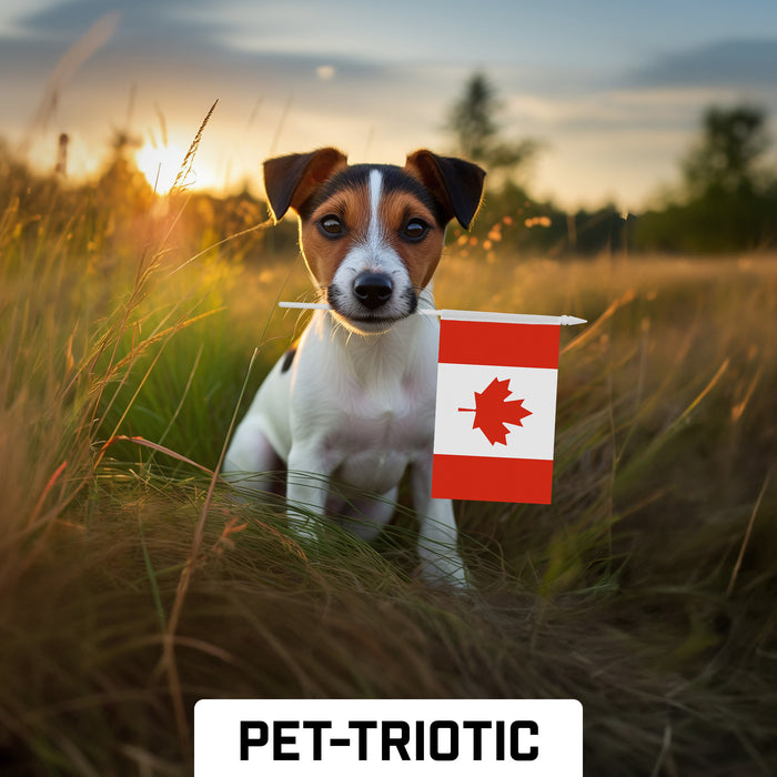G128 10 Pack Handheld Canada Canadian Stick Flags | 4x6 In | Printed 150D Polyester, Country Flag, Solid Plastic Stick, Spear White Tip