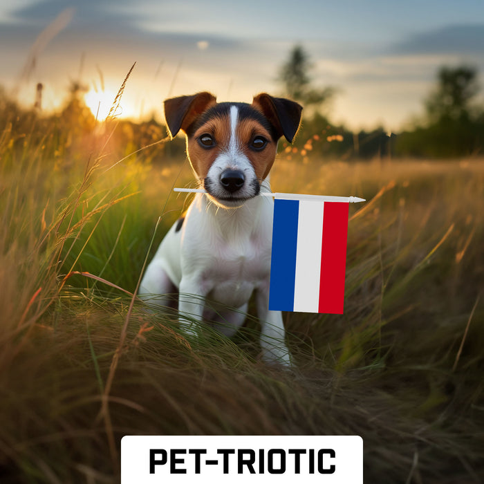 G128 10 Pack Handheld Netherlands Dutch Stick Flags | 4x6 In | Printed 150D Polyester, Country Flag, Solid Plastic Stick, Spear White Tip