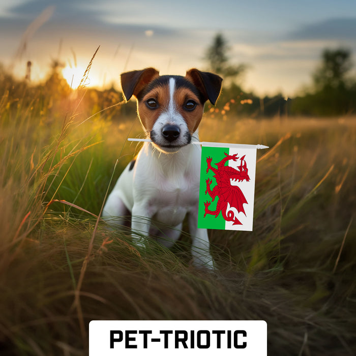 G128 24 Pack Handheld Wales Welsh Stick Flags | 4x6 In | Printed 150D Polyester, Country Flag, Solid Plastic Stick, Spear White Tip